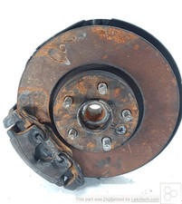 Aufsteigender Sosp. Ameise