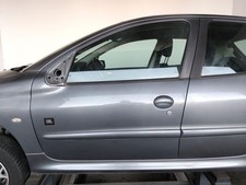 Peugeot 206 Tür vorn links