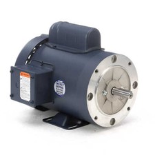 Leeson 110180.00 Electric