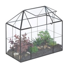 Pflanzenterrarium Kakteenhaus Glashaus Pflanzencontainer Tischterrarium Deko