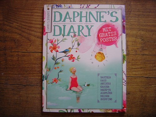 Daphne diary 6 - daphne`s,
