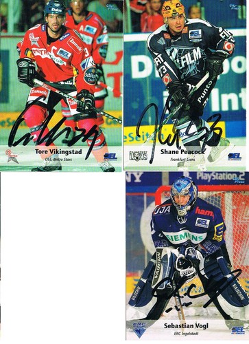 Del 2006 2007 - del, eishockey