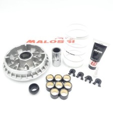 Variomatik Malossi Multivar