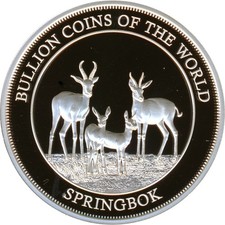 Tschad 2022 - Springbock