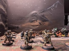 Warhammer 40k Imperiale Armee - 10 Cadianische Stosstruppen, Gut Bemalt