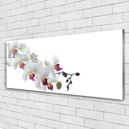 Glasbilder wandbild druck - glasbilder,