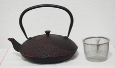 Gusseiserne japanische Teekanne mit Deckel und Filter