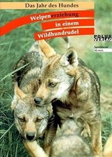 Welpenerziehung in einem