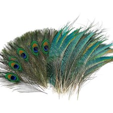 Pfauenfedern 40 Stück Natur