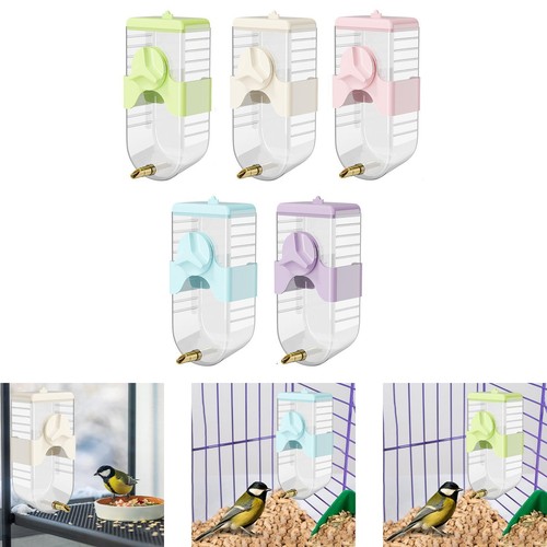 Vogeltrinkstation für