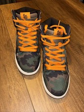 RARE/SELTEN Nike SB Dunk High