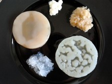 Kontrol Betrieb 5 Pilze