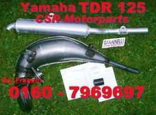 Auspuff Yamaha TDR 125 DT
