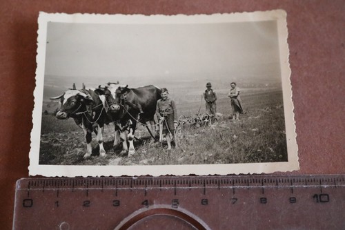 Tolles altes foto - altes,