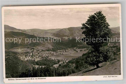 Schoenau schwarzwald blick ins - blick,