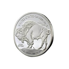 American Bison/2024/2025 Coin