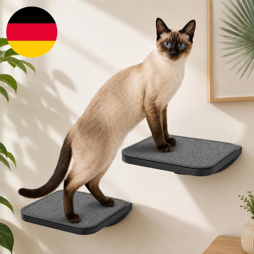 Katzen kletterwand - katzen,