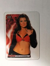 2008 Lamincards WWE Wrestling