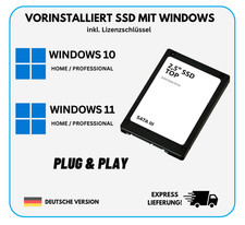 SSD Festplatte mit Windows 11