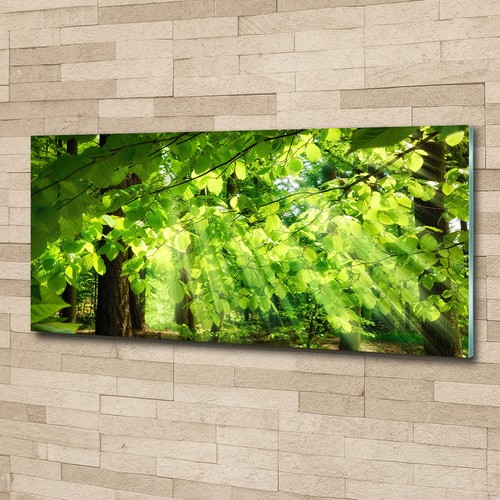 Glas bild wandbilder druck auf - glas-bild,