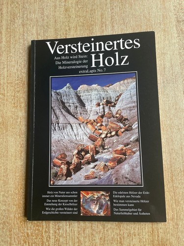 Extralapis 7 versteinertes - extralapis,