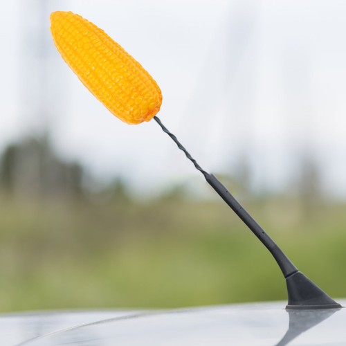 Auto-Antennen-Dekoration
