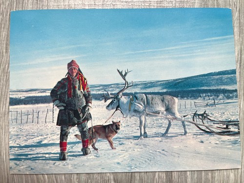 Norwegen lappe mit rentier - ak,