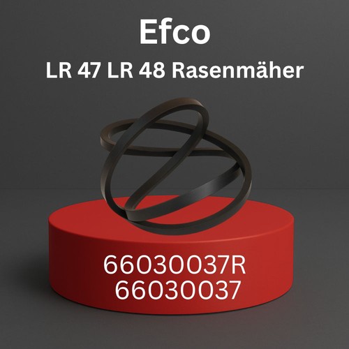 Keilriemen für efco - für,