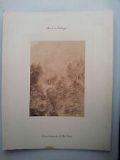 Original Foto um 1880 - SCHWEIZ SWITZERLAND - Splügen - Zweite Brücke in der Via Mala