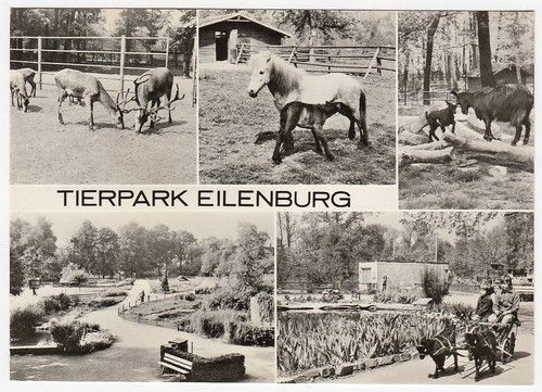 Eilenburg tierpark - eilenburg,