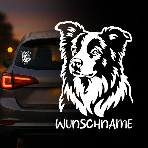 Border collie hund auto - border,
