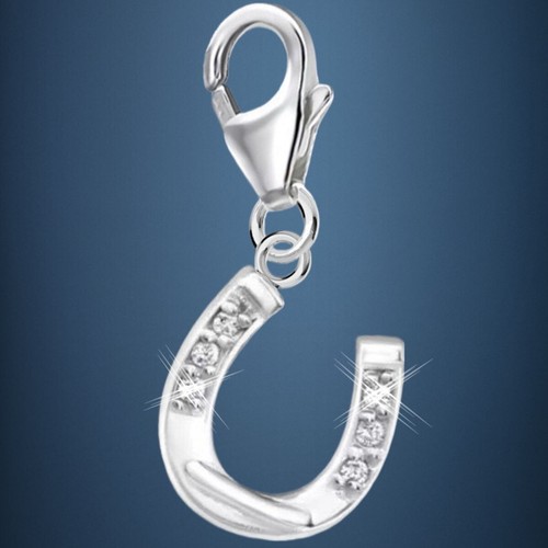 Hufeisen karabiner charm 925 - charm,