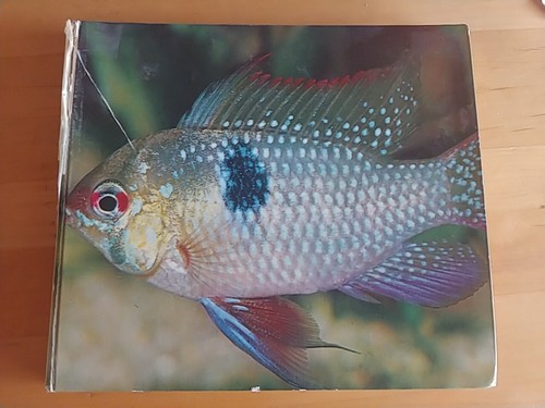 Freude fischen - an,