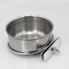  Papagei Futtersuche Fall Bird