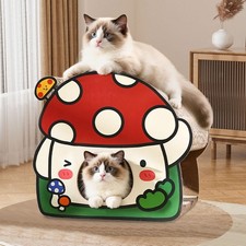 Katzenkratzbaum in Pilzform