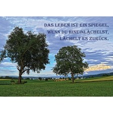 Postkarte das leben ist - leben,