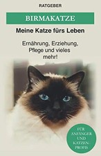 Birma katze die heilige - birma,