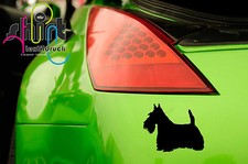 A 1472 - Scottish Terrier Hund