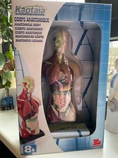ADDENDO Mensch Torso Körper Modell Anatomie Anatomische Medizin ab 8 Jahren wNEU