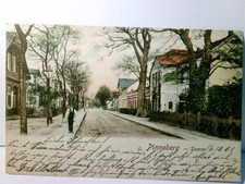 Pinneberg. Damm. Alte Ansichtskarte farbig / coloriert, gel. 1901. Straßenpartie