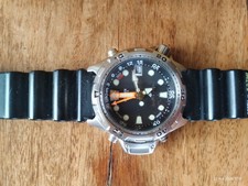citizen aqualand diver watch
