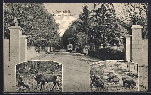 Darmstadt an den - ak, darmstadt,