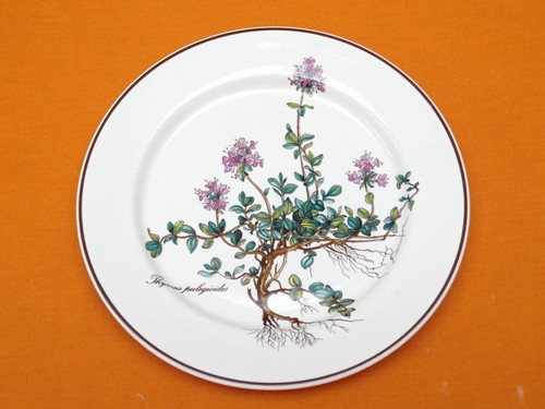 Villeroy boch botanica 1 - boch,