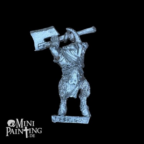 Warhammer pestigors pestigor - warhammer,
