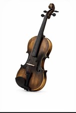 Violine geige mit koffer - violine,geige,