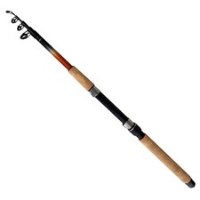 Paladin Spinnrute 1,80m