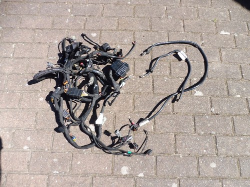 Buell 1125 kabelbaum - buell,