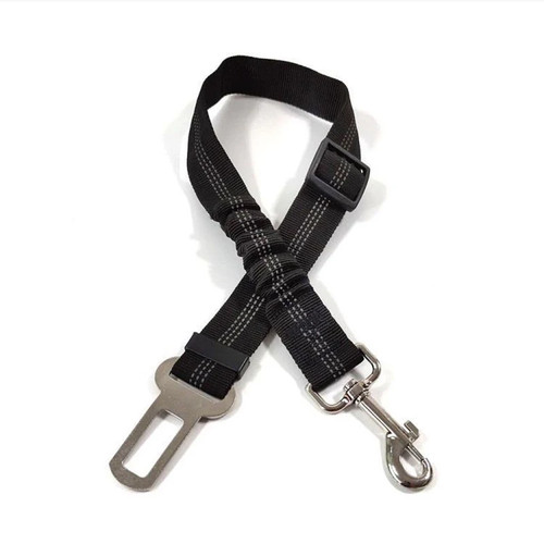 Elastische auto - elastische,