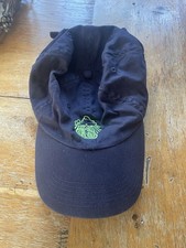 Alembic Baseball Cap Blau Grün Logos