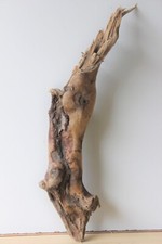 Treibholz Schwemmholz